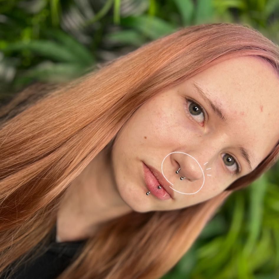 SEPTUM